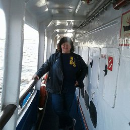 ����, �����-���������, 63 ����