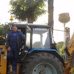 �����, ��������, 41 ���