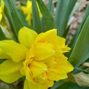 ���� �������, ������, 70 ��� - ��������� 8 ��� 2023 � ������ ���� ����������