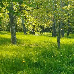 ��������, �����-���������, 23 ����