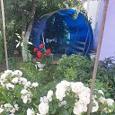 ���� ����, �������, 53 ���� - ��������� 28 ������� 2023 � ������ ���� ����������