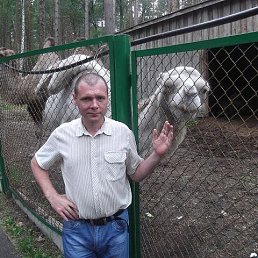 ���� ���������, ������, 51 ��� - ��������� 25 ������� 2023