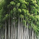 ���������� ���� �� ������� ������� 2023�