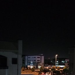 Oni, �����������, 53 ����