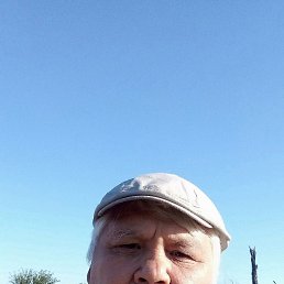 ���� �����, �������, 66 ��� - ��������� 5 ������ 2023