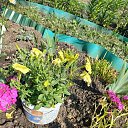 ���� �����, �����������, 58 ��� - ��������� 24 ���� 2023