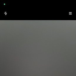 ����, �����-���������, 40 ���