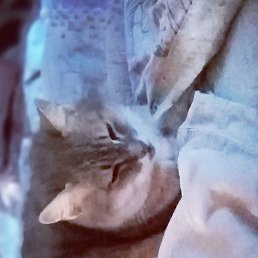 ���� ������, ������, 50 ��� - ��������� 17 ���� 2023