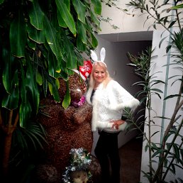 ���� �������, ����������, 62 ���� - ��������� 22 ����� 2023