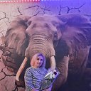 ���� �������, �����-���������, 42 ���� - ��������� 29 ���� 2023 � ������ ���� ����������