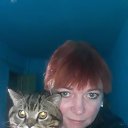 ���� �����, ����, 44 ���� - ��������� 10 ������ 2023 � ������ ���� ����������