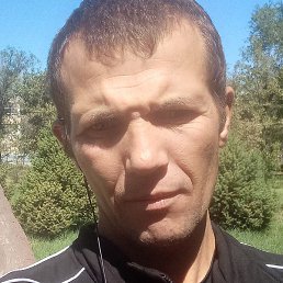 ������, ���������, 41 ���