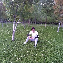 ���� ������, �������, 34 ���� - ��������� 12 ������ 2023