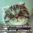 ���� �����, ������, 52 ���� - ��������� 6 ���� 2023 � ������ ���� ����������