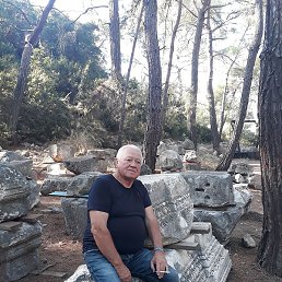 �����, �������, 73 ����