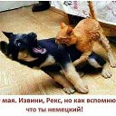���� �������, ������, 54 ���� - ��������� 9 ��� 2023 � ������ ������ ��������