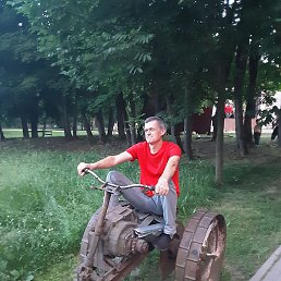 �����, �����, 54 ����