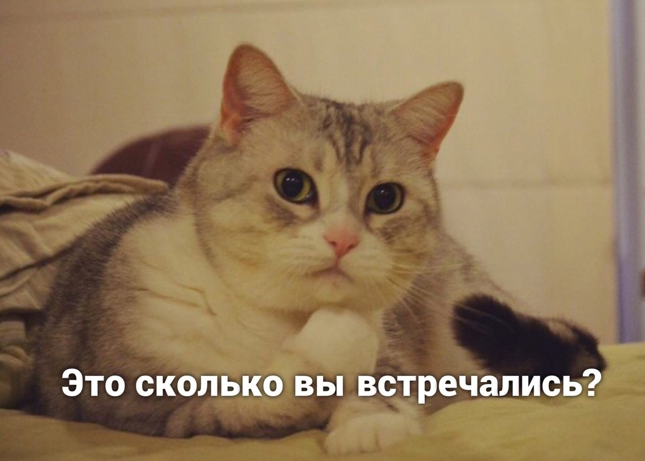   - 2