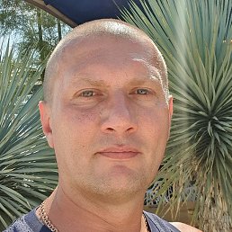 ���������, ����������, 45 ���