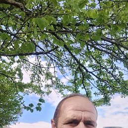 ���� �������, ������, 52 ���� - ��������� 2 ���� 2023