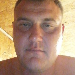 �����, ������, 35 ���