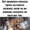 ���� ����, ����, 40 ��� - ��������� 27 �������� 2023