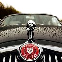 ���� */Wl@d/*, ������� ��������, 50 ��� - ��������� 10 �������� 2023 � ������ ���� ����������