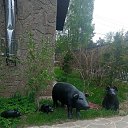 ���� �����, �����-���������, 55 ��� - ��������� 16 ��� 2023 � ������ ���� ����������