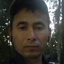 ������, �����-���������, 36 ���