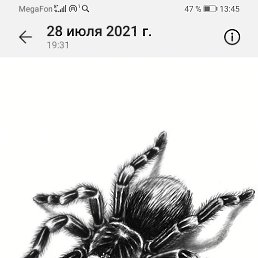 ������, ������, 35 ���