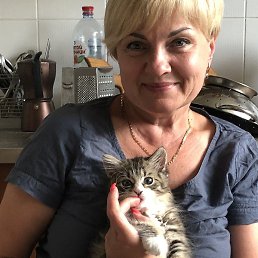 ������, �����, 53 ����