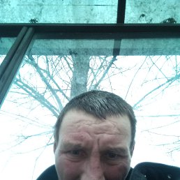 ���� �������, �����-���������, 44 ���� - ��������� 1 ������ 2023