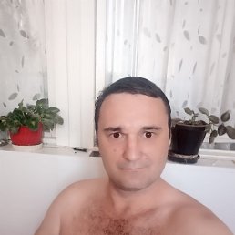 ���� ������, ����, 44 ���� - ��������� 25 �������� 2023