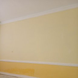 �����, �������, 41 ���