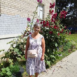 �������, ������, 67 ���