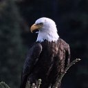 ���� ������, ������, 48 ��� - ��������� 18 ������ 2023