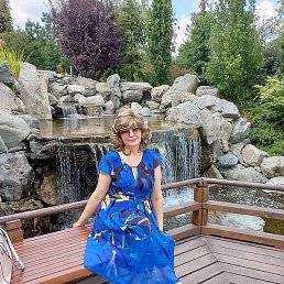 ������, ���������, 54 ����