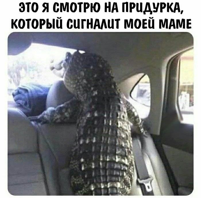    - 1  2023  12:25