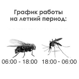 �����, ������, 50 ���