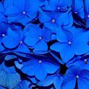 ���� ����, ������, 46 ��� - ��������� 28 ���� 2023 � ������ ���� ����������