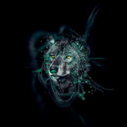 ������, �����������, 31 ���