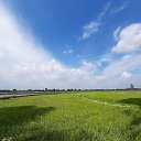 ���� Samol, ����������, 51 ��� - ��������� 3 ������� 2023 � ������ ���� ����������