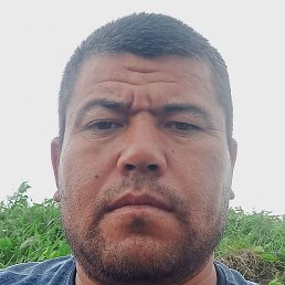 ��������, �����, 40 ���