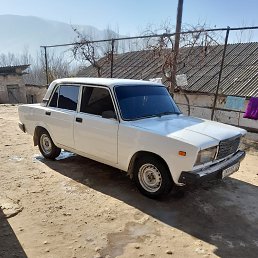 ���� �����, �����-���������, 41 ��� - ��������� 2 ����� 2023