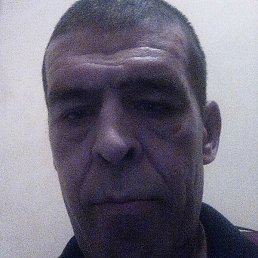 �����, ����, 46 ���