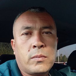 ������, �����, 46 ���