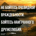 ���� ������, ������, 53 ���� - ��������� 25 ������� 2023 � ������ ���� ����������