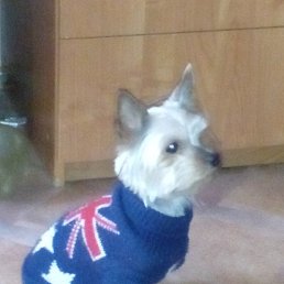 ������, ��������, 44 ����