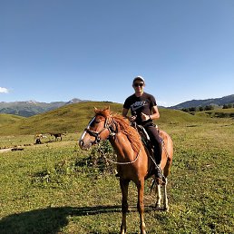 �����, ������, 29 ���