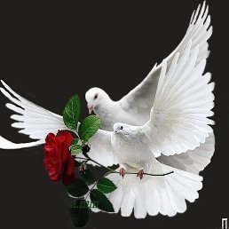 ���� �����, ������, 48 ��� - ��������� 12 ������� 2023